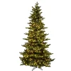 7.5' Natural Fraser Dura-Lit 800Ww, K194176Led, Vickerman