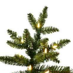 12' Natural Fraser Dura-Lit 1800Ww, K194191Led, Vickerman