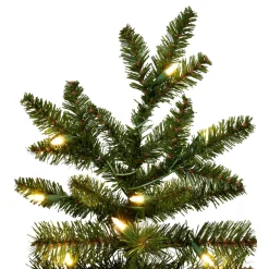 7.5' Natural Fraser Dura-Lit 700Ww, K194076Led, Vickerman