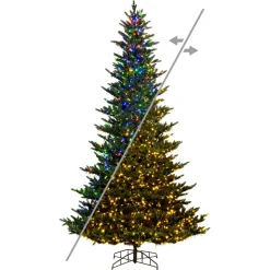 7.5' X 54" Natural Fraser 3Mm Led 1800Cc, K194178Ledcc, Vickerman