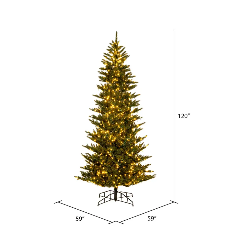 4.5' X 31" Natural Fraser, 3Mm Led 500Cc, K194048Ledcc, Vickerman