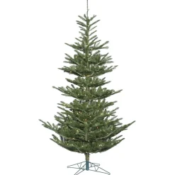 10'Alberta Spruce, G160286, Vickerman
