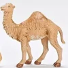 Baby Dromedary Camel, 7.5", Fontanini, 52871