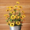 Black Eyed Susan Spray