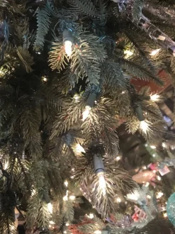 Bryce Canyon Pine 7.5'