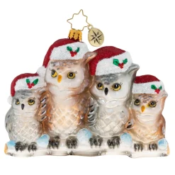 Cr, It's Owl In The Family, 1020506, Christopher Radko