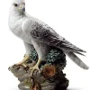 Gyrfalcon