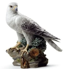 Gyrfalcon