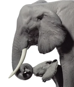 Leading The Way, Elephants