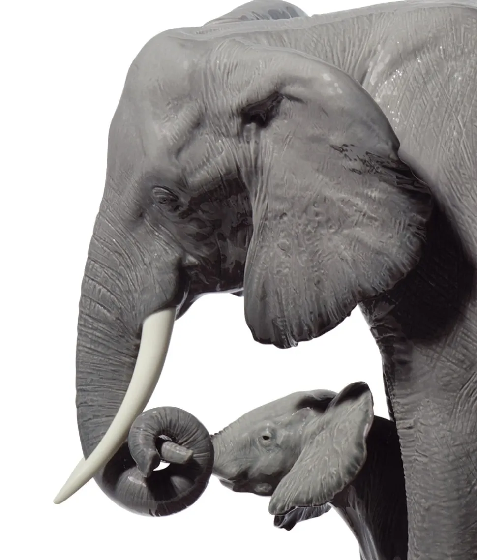 Leading The Way, Elephants