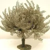 Olive Tree Small, 5" Fontanini, 55517
