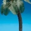 Palm Tree Single, Fontanini, 56571