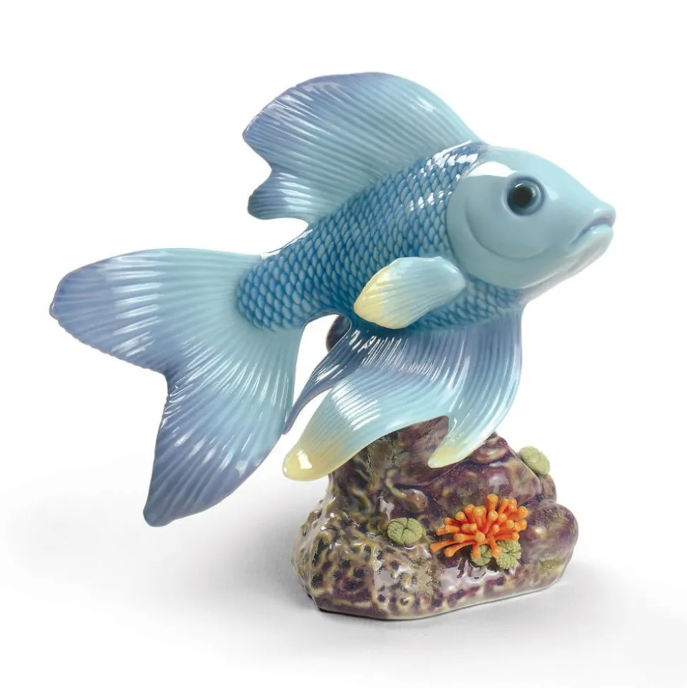 Pond Dreamer (Blue), Fish