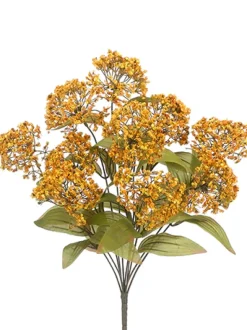 Queens Lace Bush X10 Mustard Yellow