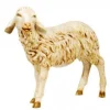 Sheep Standing W/Head Straight 50", Fontanini, 52336