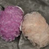 Styro Cloth Eggs With Ruffles