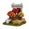Va, Harvest Fields Mums, 4054212, Department 56