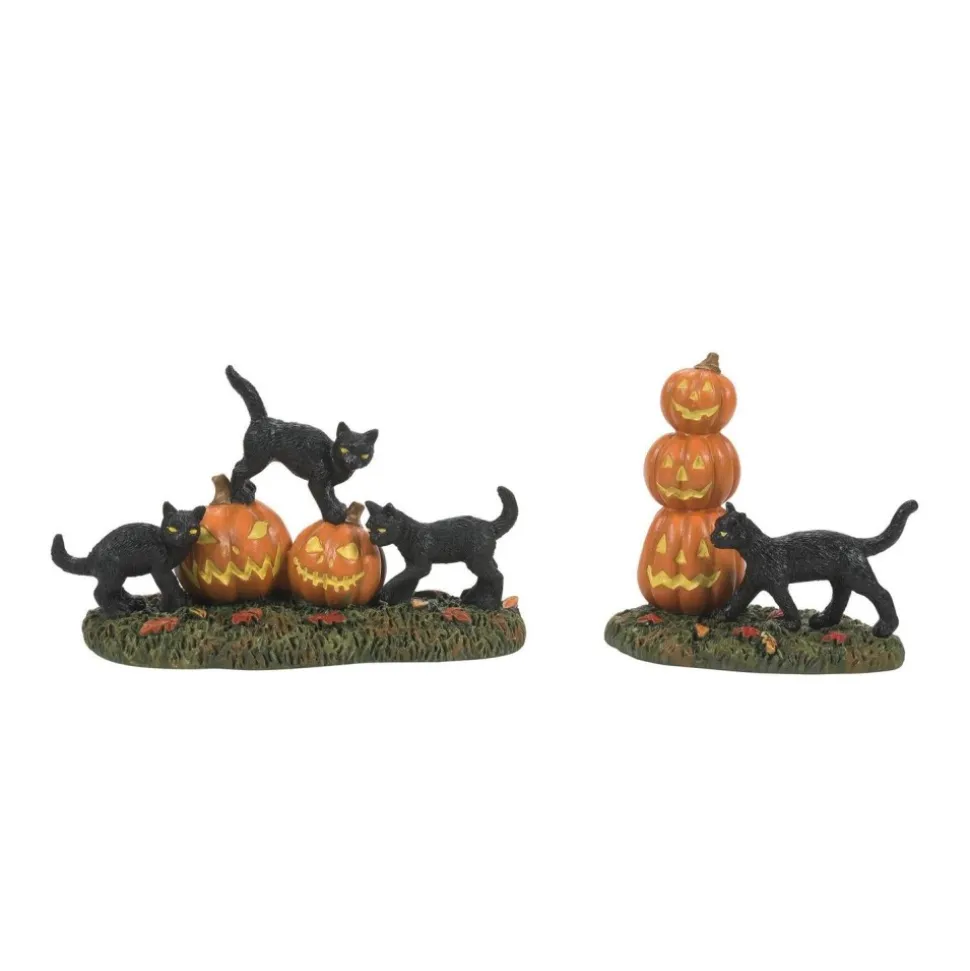 Va, Scary Cats Pumpkins St/2, 6012285, Department 56
