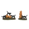 Va, Scary Cats Pumpkins St/2, 6012285, Department 56