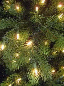 Virginia Fir 7.5', Neuman Tree, 89579L